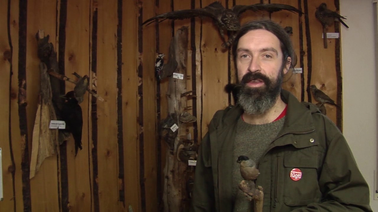 MEgional - Unsere Nachrichten aus dem Mittleren Erzgebirge Wildvögel im Winter richtig füttern