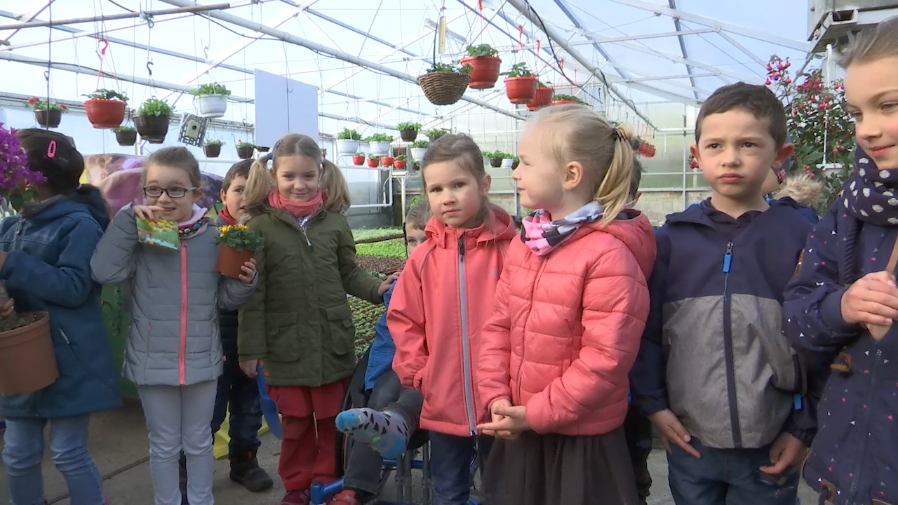 MEgional am 16. April 2019 mit "jungen Pflänzchen" in einer Gornauer Gärtnerei